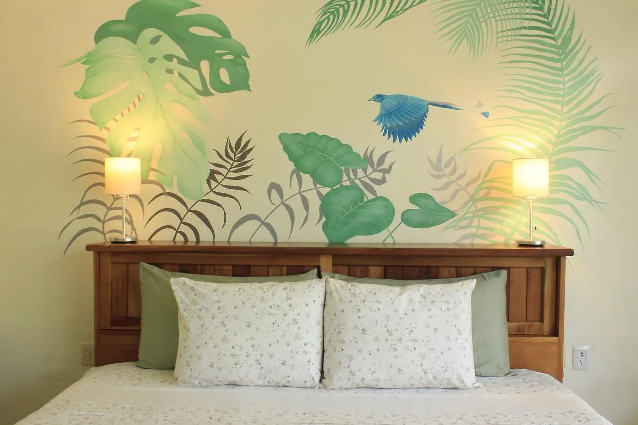 Hotel La Palmita By Mij تولوم